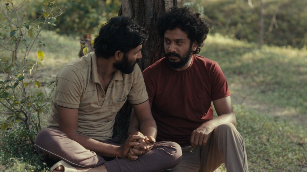 সানড্যান্স বিজয়ী 'ক্যাকটাস পিয়ারস' স্কোর এসএক্সএসডাব্লু লন্ডনে গ্র্যান্ড জুরি পুরষ্কার